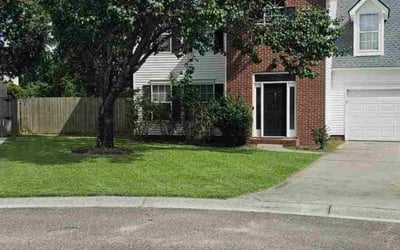 Photo of Maria D.'s yard after getting lawn care in Malden, MA