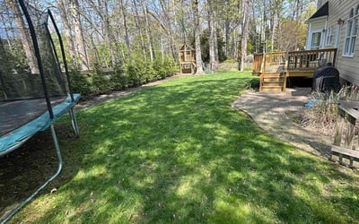 Photo of Kevin A.'s yard after getting lawn care in Richmond, VA