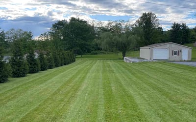Photo of Chanel H.'s yard after getting lawn care in Manheim, PA