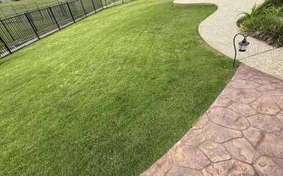 Photo of Jack R.'s yard after getting lawn care in Rowlett, TX