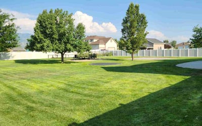 Photo of Boris F.'s yard after getting lawn care in Clinton, UT