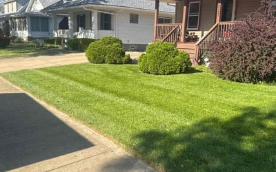 Photo of Melissa M.'s yard after getting lawn care in New Iberia, LA