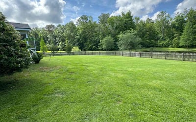 Photo of Catherine P.'s yard after getting lawn care in Goose Creek, SC