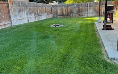 Photo of Veronica B.'s yard after getting lawn care in Caldwell, ID
