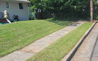 Photo of Roxann E.'s yard after getting lawn care in West Milford, NJ