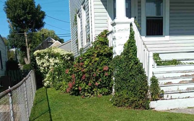 Photo of Marcos P.'s yard after getting lawn care in Parkville, MD
