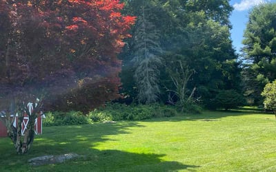 Photo of Edna R.'s yard after getting lawn care in Dallas, PA