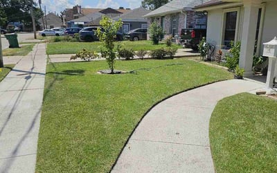 Photo of Satoshi M.'s yard after getting lawn care in Metairie, LA