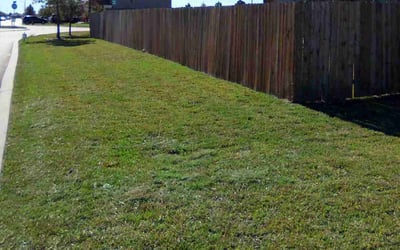 Photo of Rose C.'s yard after getting lawn care in Rancho Cucamonga, CA