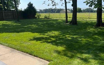 Photo of Rose S.'s yard after getting lawn care in Fairborn, OH