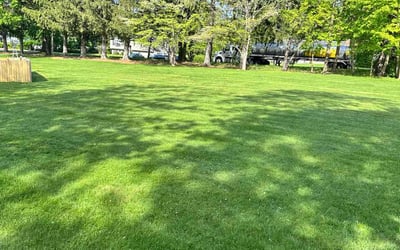 Photo of Brian O.'s yard after getting lawn care in Canonsburg, PA