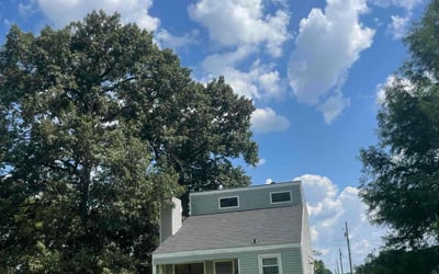 Photo of Tracy F.'s yard after getting lawn care in Shreveport, LA