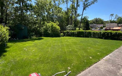 Photo of Darlene B.'s yard after getting lawn care in Pittsburgh, PA