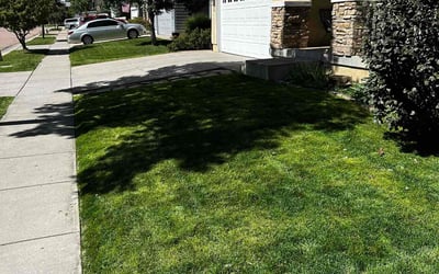 Photo of Cindi A.'s yard after getting lawn care in Colorado Springs, CO