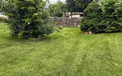 Photo of Allison R.'s yard after getting tree care in Palatine, IL