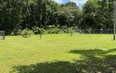 Photo of Constance B.'s yard after getting lawn care in Grand Bay, AL