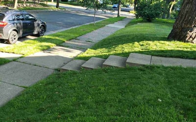 Photo of Tanner G.'s yard after getting lawn care in Minneapolis, MN
