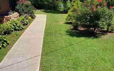 Photo of Denise T.'s yard after getting lawn care in Augusta, GA