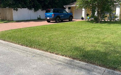 Photo of Khara N.'s yard after getting lawn care in West Babylon, NY