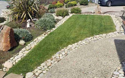 Photo of Andrea M.'s yard after getting lawn care in Seaside, CA