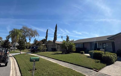 Photo of Tina H.'s yard after getting lawn care in Clearwater, FL