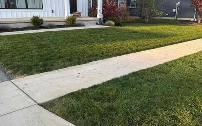 Photo of Bonnie S.'s yard after getting lawn care in Mechanicsburg, PA