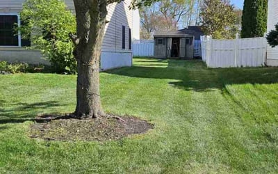 Photo of Corey L.'s yard after getting lawn care in Bordentown, NJ