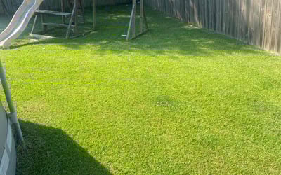 Photo of Yvonne S.'s yard after getting lawn care in Moncks Corner, SC