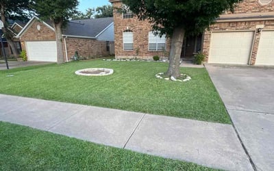 Photo of Laura E.'s yard after getting lawn care in Del Valle, TX