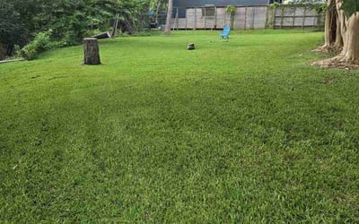 Photo of Tysha M.'s yard after getting lawn care in Wildwood, NJ