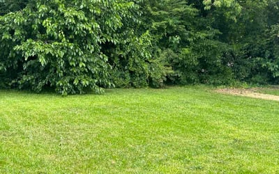Photo of Amanda M.'s yard after getting lawn care in Christiansburg, VA