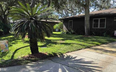 Photo of Ellen/Jim N.'s yard after getting lawn care in Oakleaf Plantation, FL