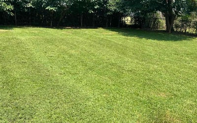 Photo of Kiara A.'s yard after getting lawn care in Clarksville, TN