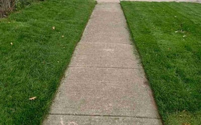 Photo of Stephen S.'s yard after getting lawn care in Swanton, OH