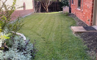 Photo of Dana W.'s yard after getting lawn care in Plano, TX