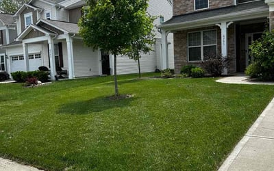Photo of Susan W.'s yard after getting lawn care in Elwood, IN