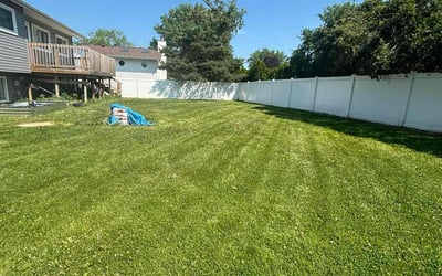 Photo of Chiquita C.'s yard after getting lawn care in Palatine, IL