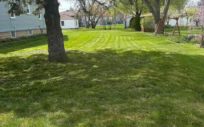 Photo of Susan W.'s yard after getting lawn care in Brookfield, IL