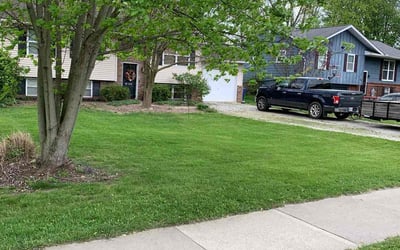Photo of Torrance B.'s yard after getting lawn care in Delaware, OH