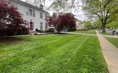 Photo of Andre C.'s yard after getting lawn care in Olney, MD
