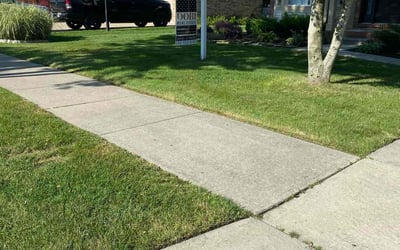 Photo of Khasim S.'s yard after getting lawn care in Macomb, MI