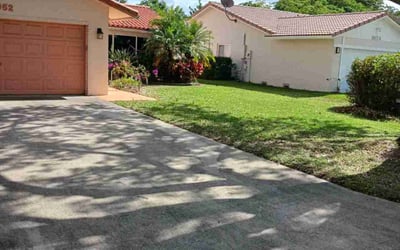 Photo of Antonio G.'s yard after getting lawn care in San Francisco, CA