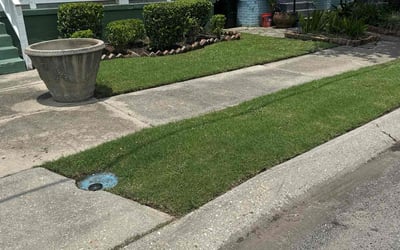 Photo of Daniel S.'s yard after getting lawn care in La Place, LA