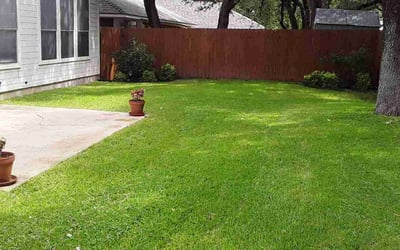 Photo of Richard B.'s yard after getting lawn care in Cedar Park, TX