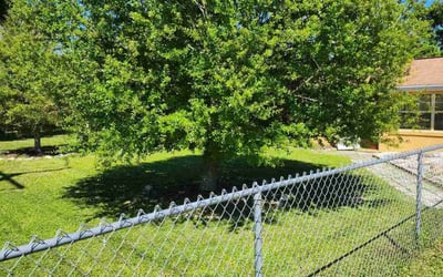 Photo of Joshua C.'s yard after getting lawn care in Citrus Park, FL