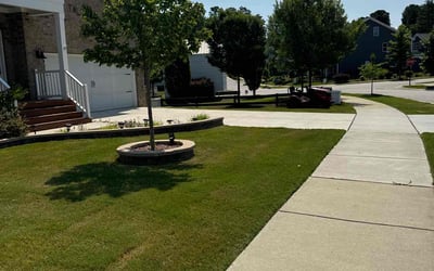 Photo of Anthony V.'s yard after getting lawn care in Wake Forest, NC
