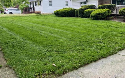 Photo of James L.'s yard after getting lawn care in Fargo, ND