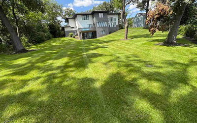 Photo of Angela S.'s yard after getting lawn care in Jacksonville, FL