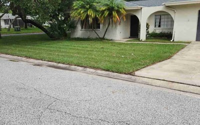Photo of Damarizz M.'s yard after getting lawn care in Hudson, FL