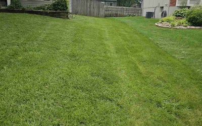 Photo of Eugene B.'s yard after getting lawn care in Indianapolis, IN